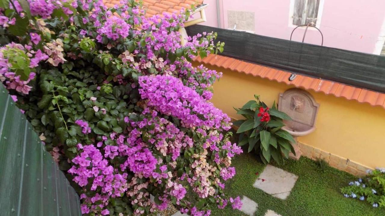 House Justina Villa *
