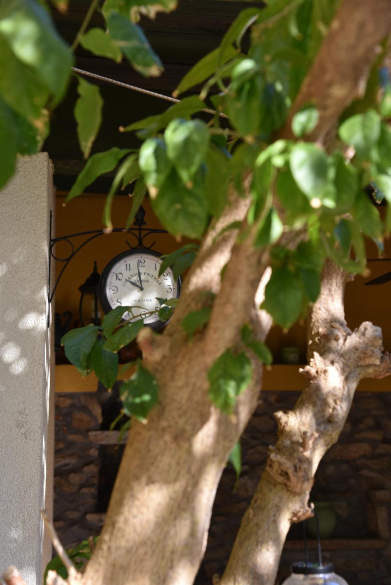 House Justina Villa Zadar